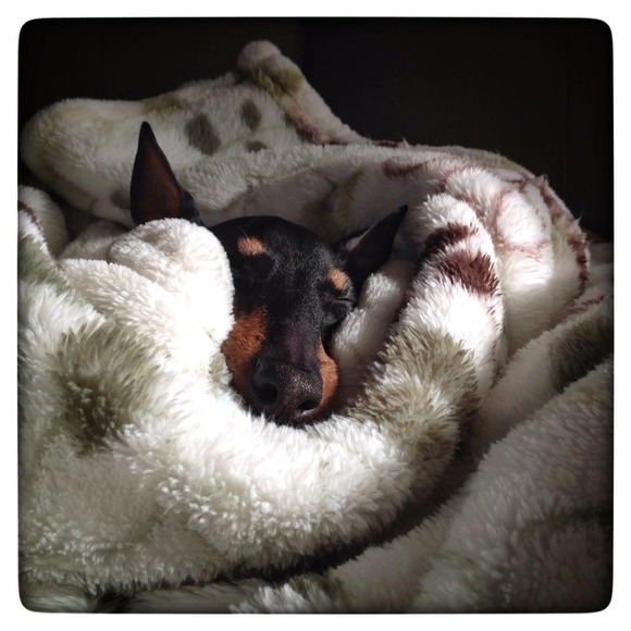 Meet your Posher, Diane - Picture 1 of 1